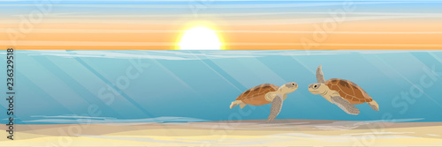 Two Green sea turtle swimming under water. Tropical underwater landscape. Warm water. Realistic Vector illustration of a sea life