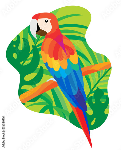 А bright tropical parrot Macaw from South America, which sits on a branch among tropical leaves