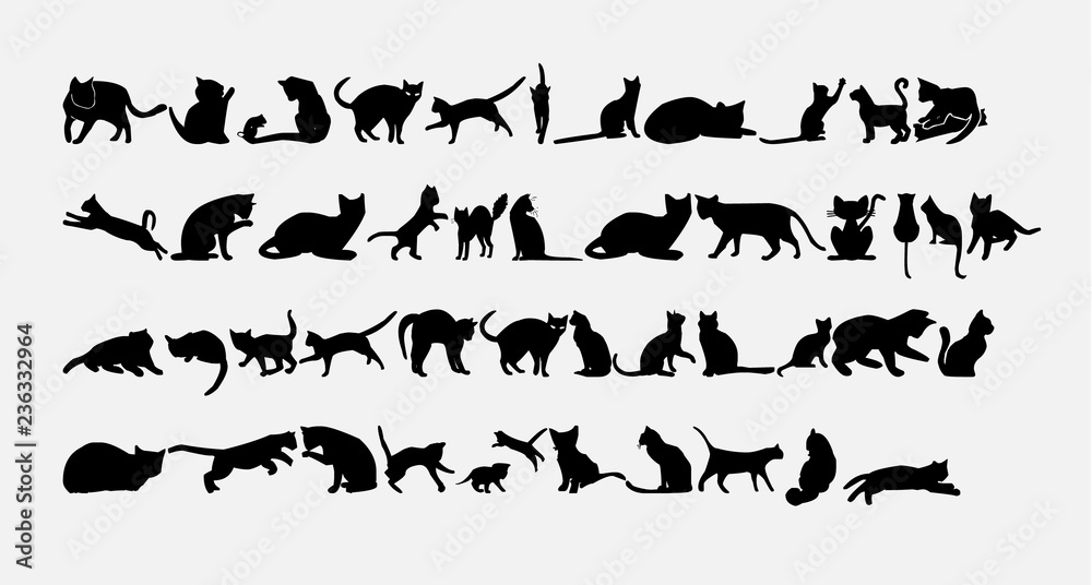 Set of cat icons. Vector illustration. Set of cat icons. Vector illustration.