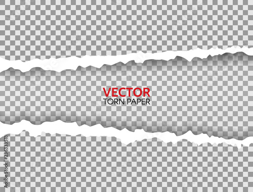 Realistic torn paper with ripped edges and space for text. Torn paper frame on transparent background. Paper texture with damaged edge. Vector illustration