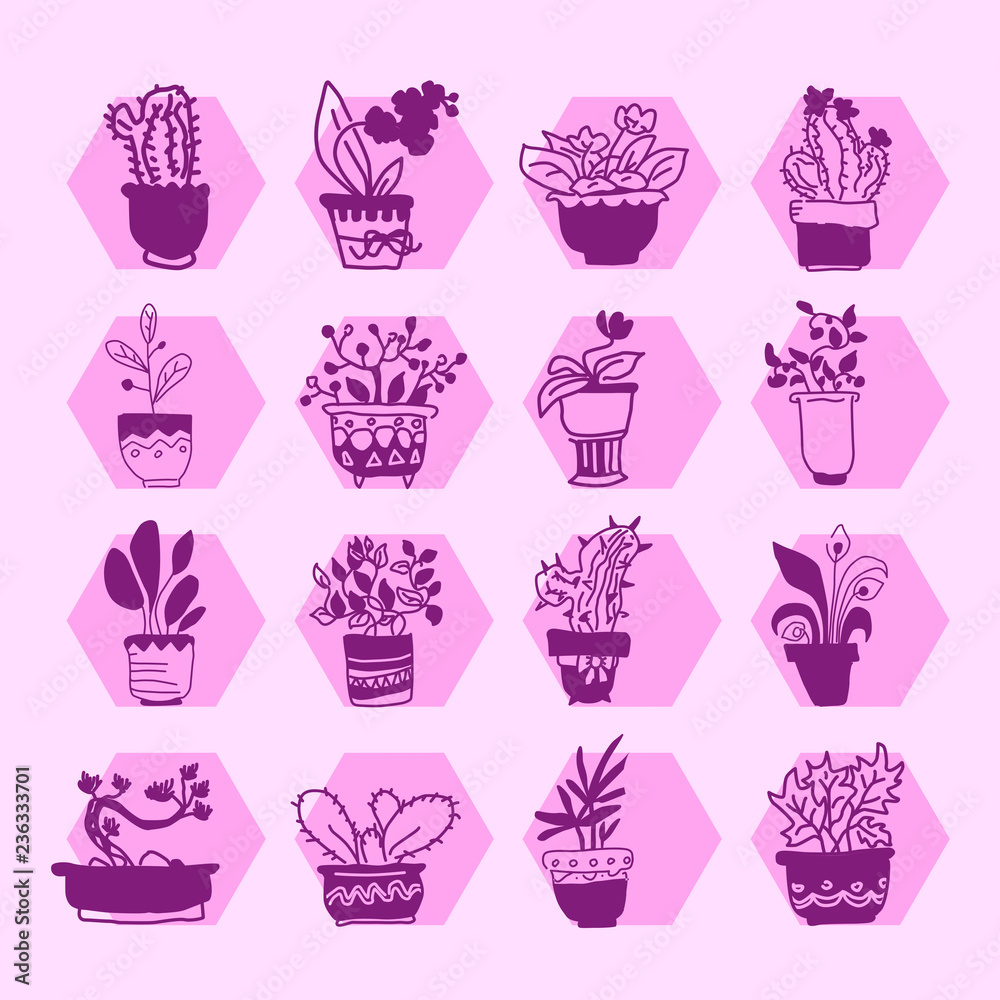 Bright vector icon set of housplants in pots.Purple silhouettes of houseplants on pink baground Bright vector icon set of housplants in pots.Purple silhouettes of houseplants on pink baground