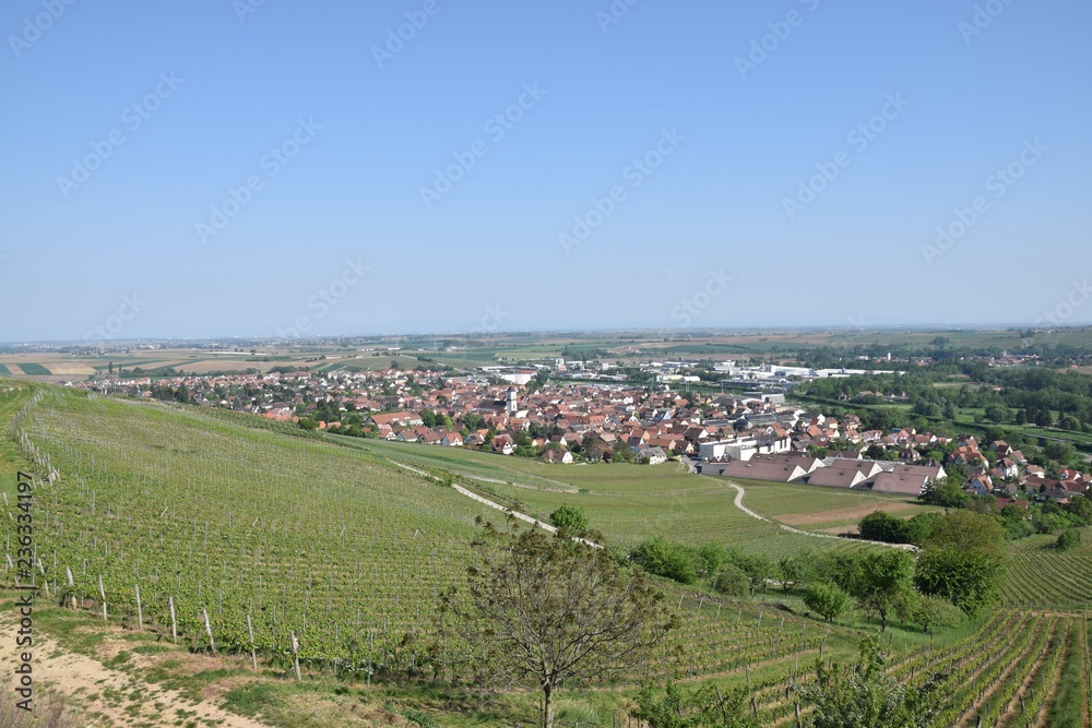 Village viticole en Alsace