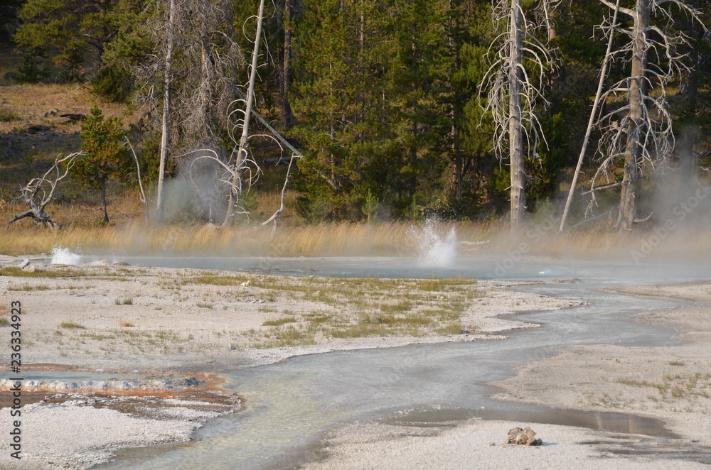 NORRIS GEYSER BASIN YELLOWSTONE NATIONAL PARK (WYOMING) USA NORRIS GEYSER BASIN YELLOWSTONE NATIONAL PARK (WYOMING) USA