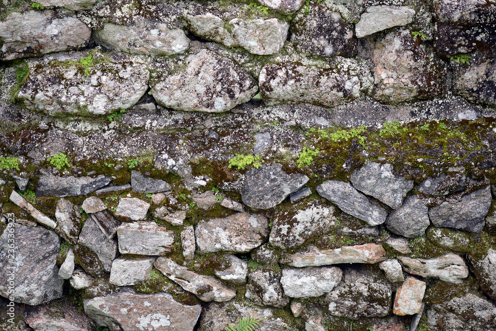 Detail of centennial wall, made of ston and shells