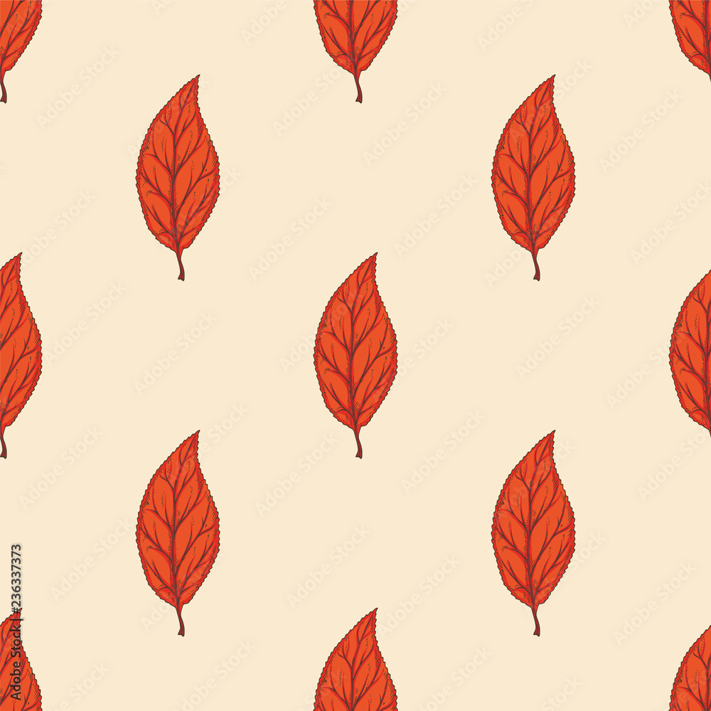 Obraz premium Seamless Pattern with Red Dried Beech Leaf