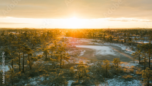 Panoramic view over the swamp in sunrise at Ķemeri national park, Latvia. First snow covering the iconic landscape. Sunlight shines over the frosty marsh. 