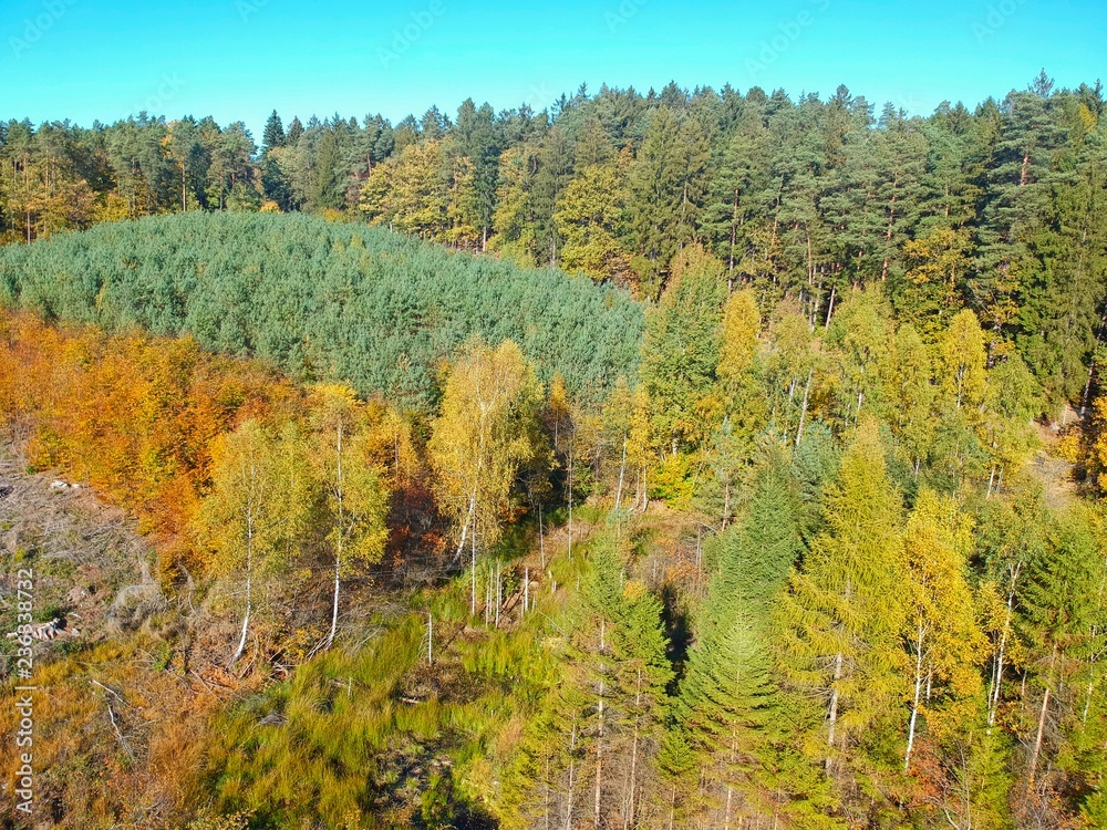Aerial view on autumn forest with red, yellow, orange, brown and green color trees.
