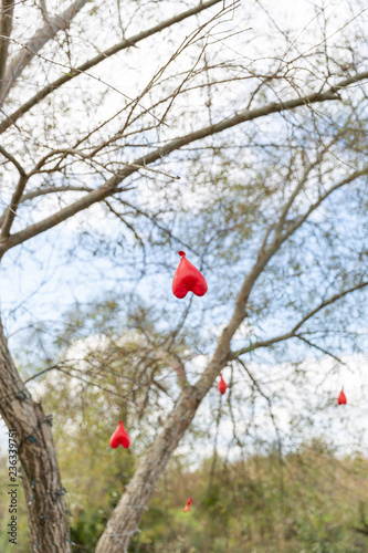 Heart shaped balloon attached to a tree branch with a blue sky and cloudy background. Red balloon hanging on tree.
