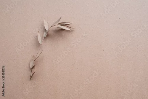 Obraz Odosobniona sucha gałązka z liśćmi na tle Kraft papier. Piękna fotografia konceptualna dla projektantów, artystów, reklamy i innych kreatywnych celów.