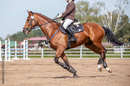 Horse and rider. Equestrian sport © Volha