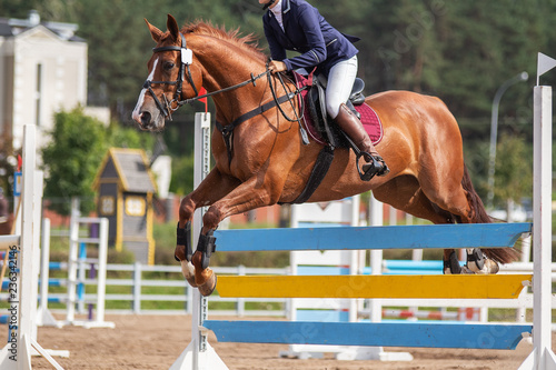 Horse and rider. Equestrian sport