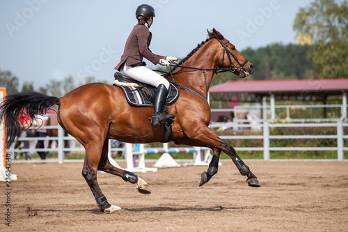 Horse and rider. Equestrian sport © Volha