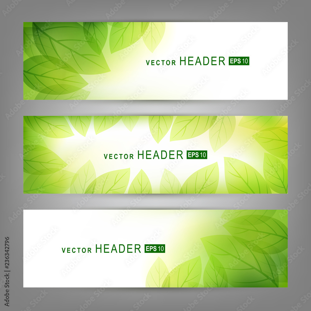 Set of vector banners with fresh green leaves. Spring or summer nature background