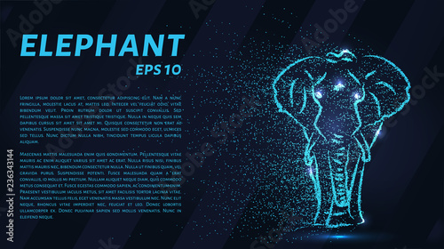 The elephant is made of blue luminous points. The elephant of the particle. Vector illustration.