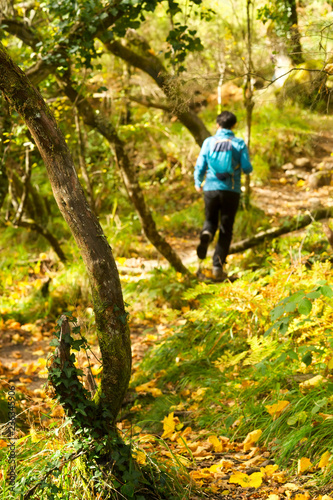 woman unfocused in trekking hiking with backpacks in autumn forest