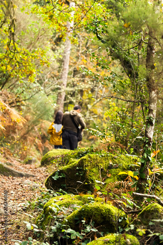 people in trekking hiking  with backpacks in autumn forest