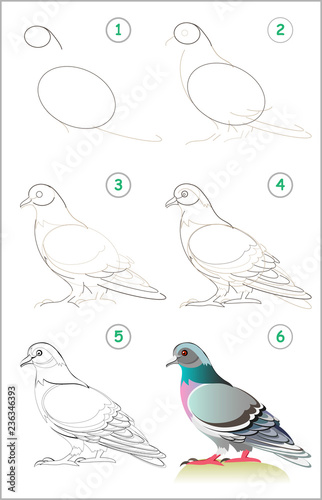 Page shows how to learn step by step to draw a cute pigeon. Developing children skills for drawing and coloring. Back to school. Vector cartoon image.