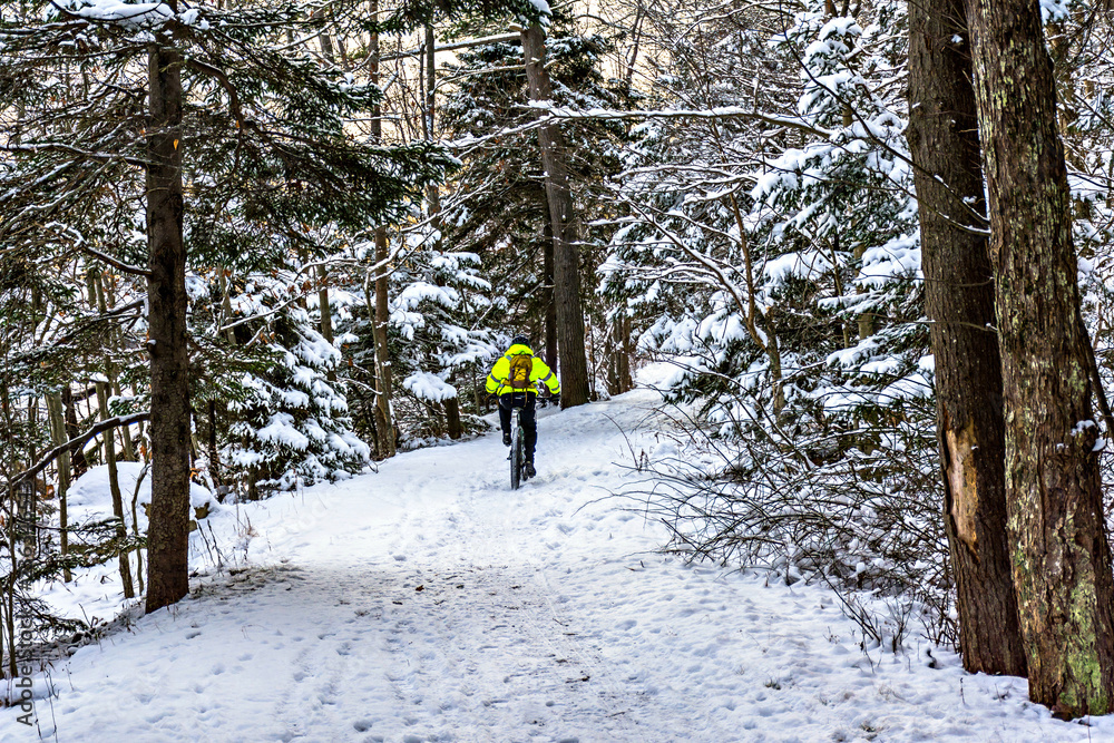  winter biking in forest