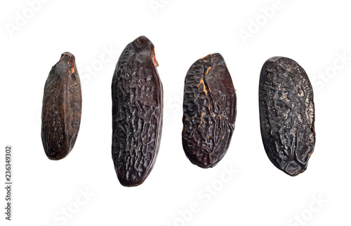 Bean of Dipteryx odorata, cumaru or kumaru. Its seeds are known as tonka beans, sometimes tonkin beans or tonquin beans
