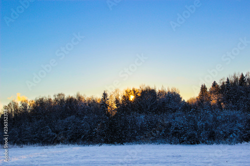 Nature, landscape, Christmas concept - beautiful winter landscape with snow-covered trees under sunlight at sunset against the snow plain. Snowy trees, sunny winter day. Winter background.