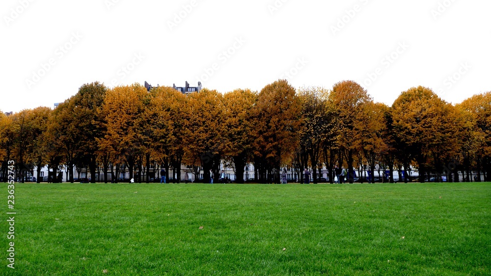 Couleurs d'automne, Esplanade des Invalides, Paris, France