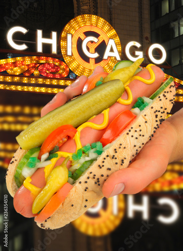 CHICAGO STYLE HOT DOG 