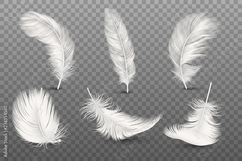 Vector 3d Realistic Different Falling White Fluffy Twirled Feather Set Closeup Isolated on Transparency Grid Background. Design Template, Clipart of Angel or Bird Detailed Feather in Various Shapes