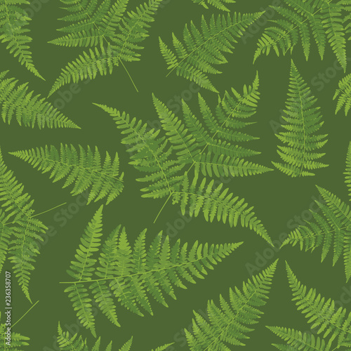Fern leaf pattern drawing. Foliar forest background green background for textile  fabric  wallpapers  covers  print  decoupage  gift wrap. Forest pacifying ornament. Seamless pattern
