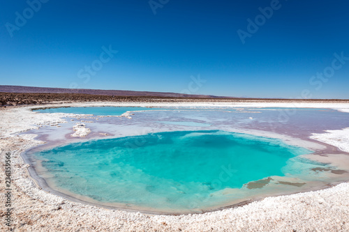 Blue water lagoon in the middle of the Atacama Desert in Chile