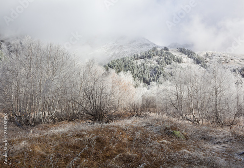 The first frost in the mountains.