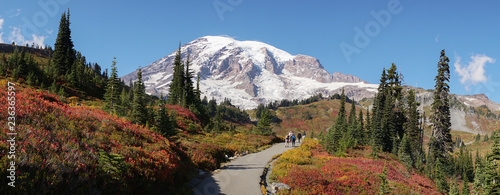 Wallpaper Mural Wonderland Hiking Trail around Mount Rainier Volcano near Seattle, United States of America. Torontodigital.ca