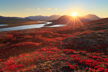 Keuken achterwand Bruin Autumn landscape with mountain, valley and lagoon views. The slopes of the hill are covered with scarlet arctous. Amazing sunset with sun rays over the mountains. Mount Inakhpak, Chukotka, Russia.  © Andrei Stepanov