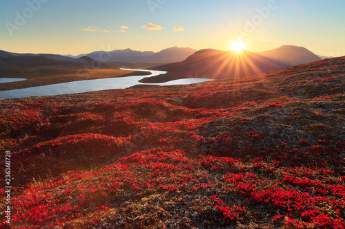 Autumn landscape with mountain, valley and lagoon views. The slopes of the hill are covered with scarlet arctous. Amazing sunset with sun rays over the mountains. Mount Inakhpak, Chukotka, Russia.