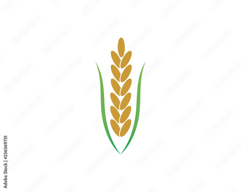 rice organic vector icon template rice organic vector icon template