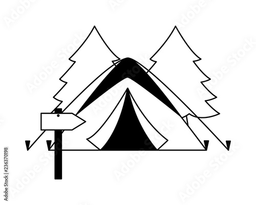 camping summer concept
