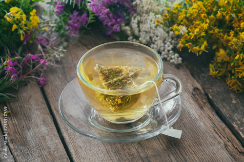 Glass tea cup with tea bag of healthy herbal tea and bunches of medicinal herbs on background, not in focus.