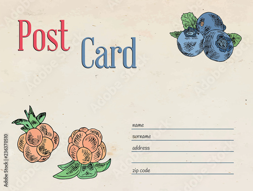 berries garden postcard. Template design of envelope and illustration of cloudberry and blueberry