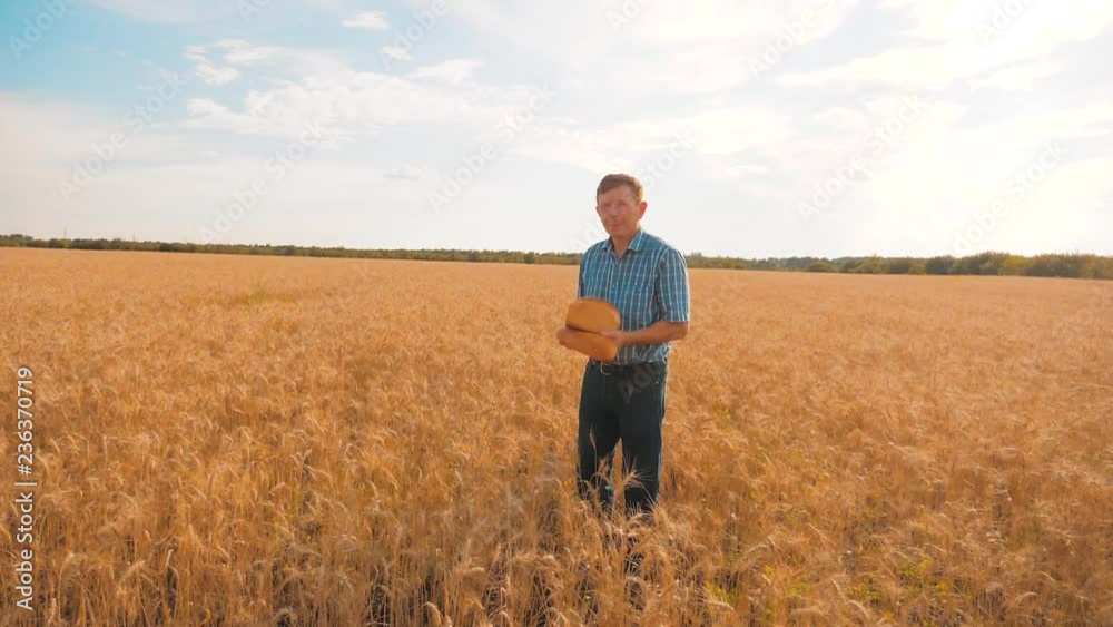 old farmer man baker holds a golden bread and loaf in wheat field against the blue sky. slow motion video. successful agriculturist in field of wheat. harvest time. old man baker bread baking vintage