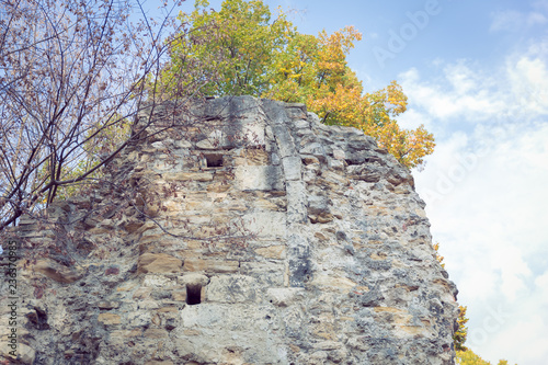 Medieval ruins on Margaret Island (Margitsziget) , Budapest, Hungary with blue sky background photo