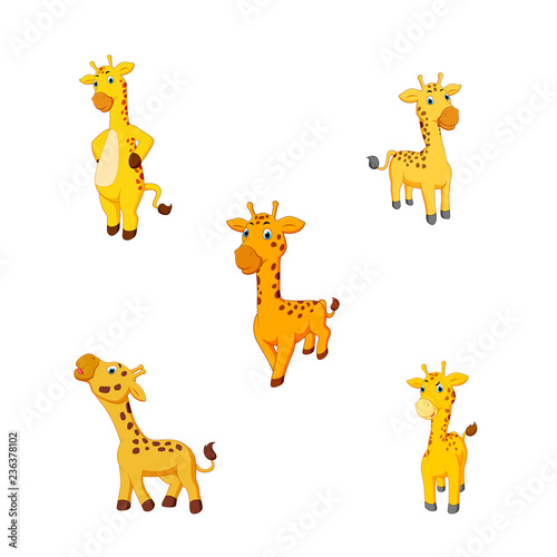 vector illustration of a cartoon giraffe
