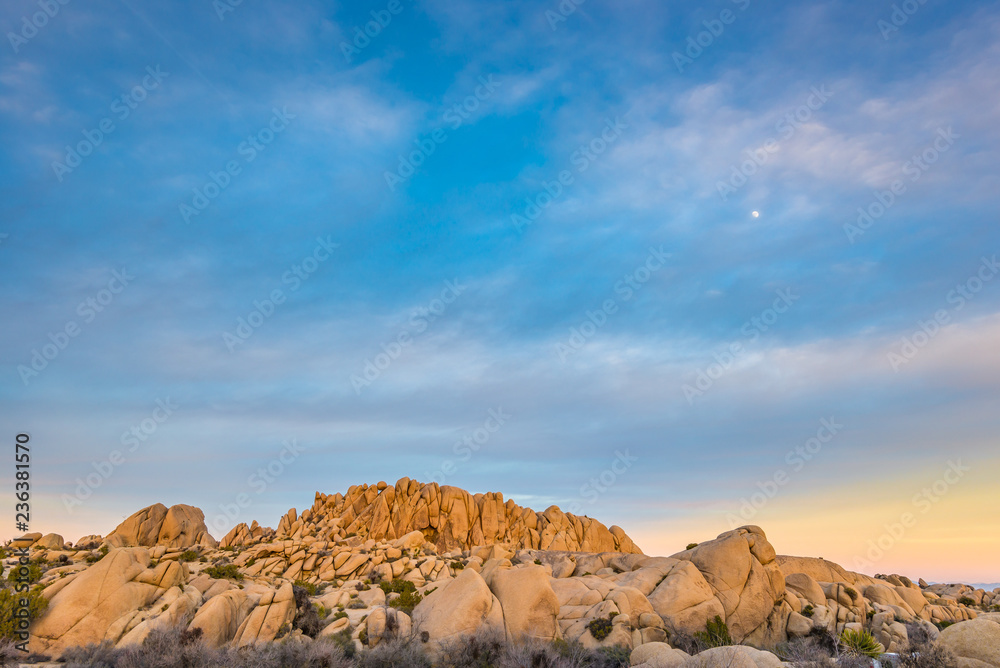 Landscape at sunset in Joshua Tree National Park Landscape at sunset in Joshua Tree National Park