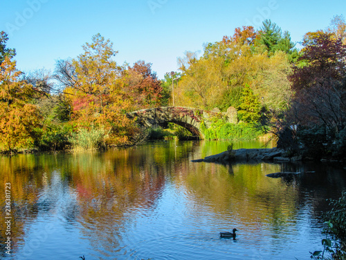 Central Park, New York © Suzanna