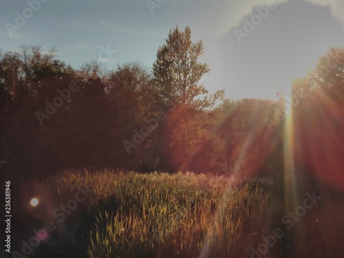 evening sun over the lake