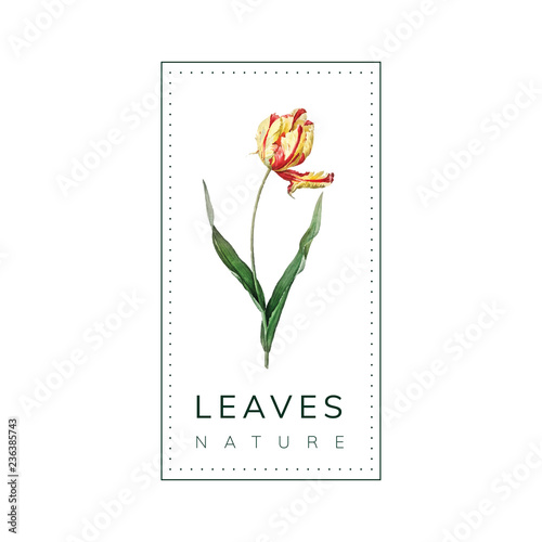 Leaves nature logo design vector