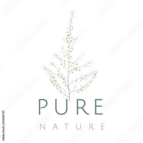 Pure nature logo design vector