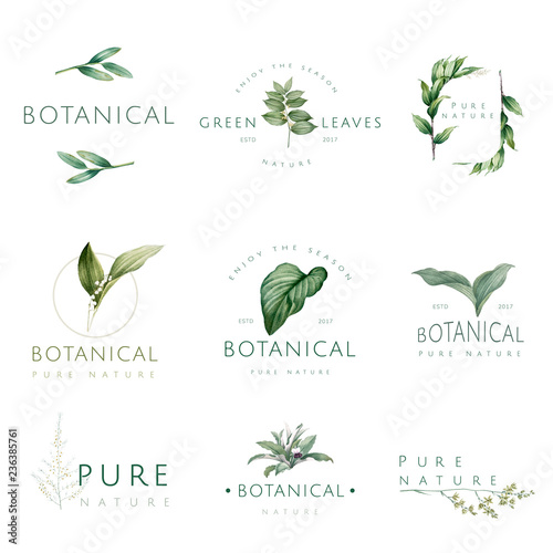 Set of nature and plant logo vectors