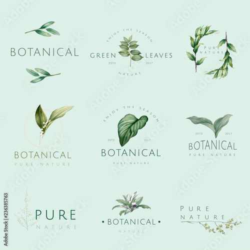 Set of nature and plant logo vectors