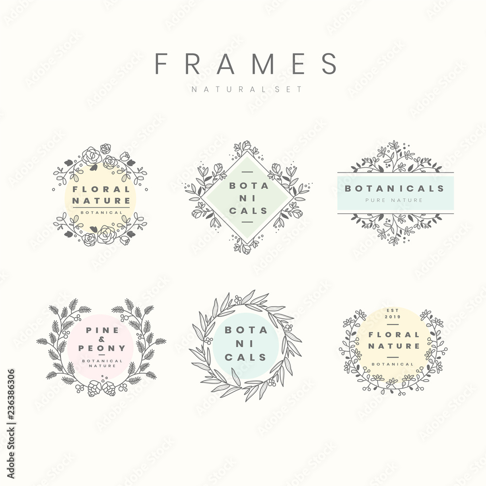 Set of botanical frame design elements vector