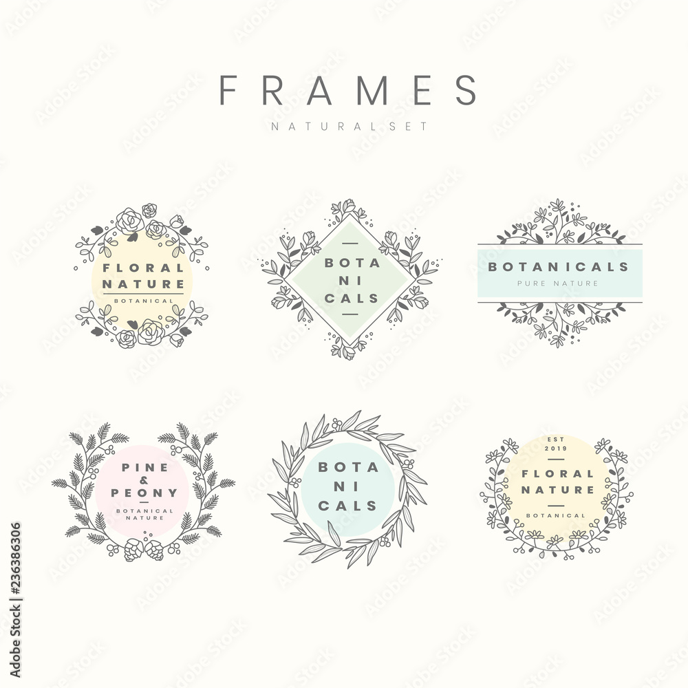 Set of botanical frame design elements vector Set of botanical frame design elements vector