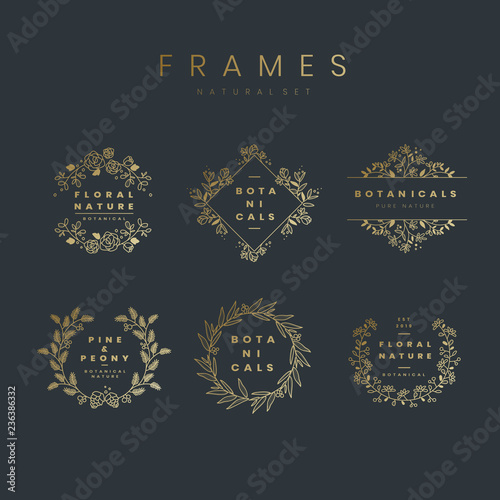 Set of botanical frame design elements vector